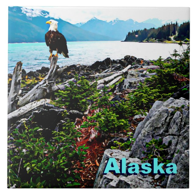 Bald Eagle On Alaska Coast Tile (Front)