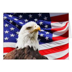 Bald Eagle On American Flag