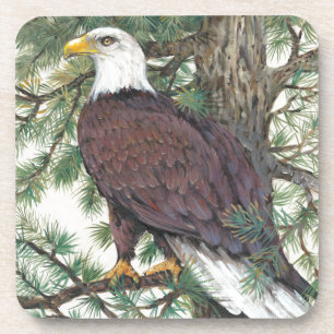 Bald Eagle on Branch Coaster