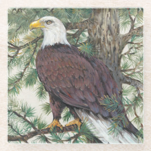 Bald Eagle on Branch Glass Coaster