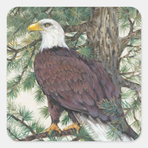 Bald Eagle on Branch Square Sticker