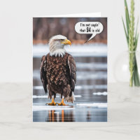 Bald Eagle On Ice For 94th Birthday