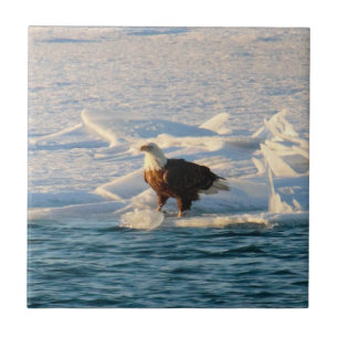 Bald Eagle on Icy Lake Ceramic Tile