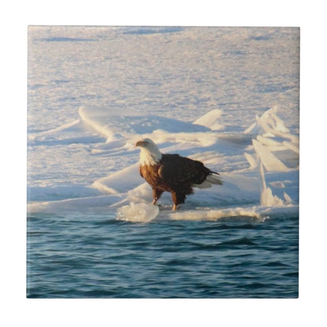 Bald Eagle on Icy Lake Ceramic Tile (Front)