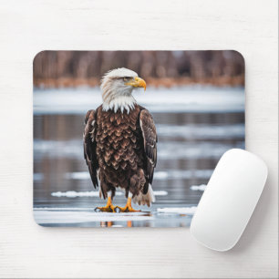 Bald Eagle On Lake Ice Mouse Pad