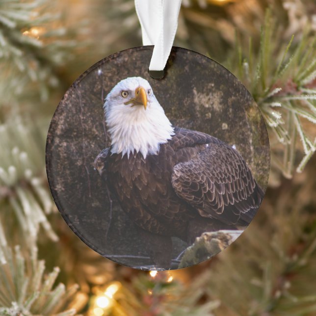 Bald Eagle Ornament (Tree)