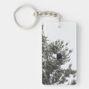 Bald Eagle P2825 Key Ring