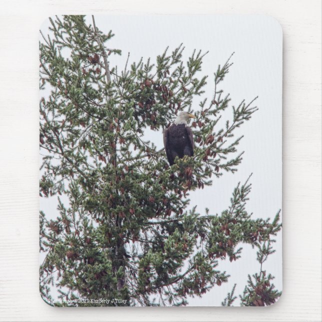 Bald Eagle P2825 Mouse Pad (Front)