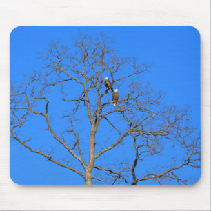 Bald Eagle Pair in Tree Mouse Pad