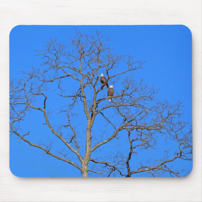 Bald Eagle Pair in Tree Mouse Pad (Front)