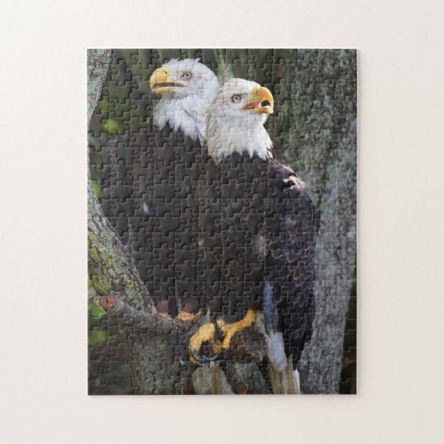 Bald Eagle Pair Puzzle (Vertical)