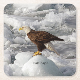 Bald Eagle paper coaster
