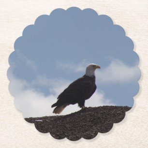 Bald Eagle Paper Coasters
