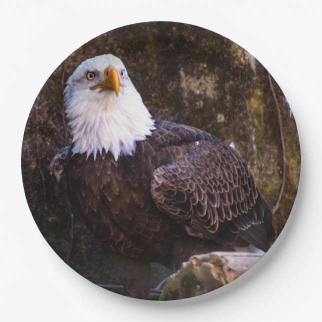 Bald Eagle Paper Plate (Front)