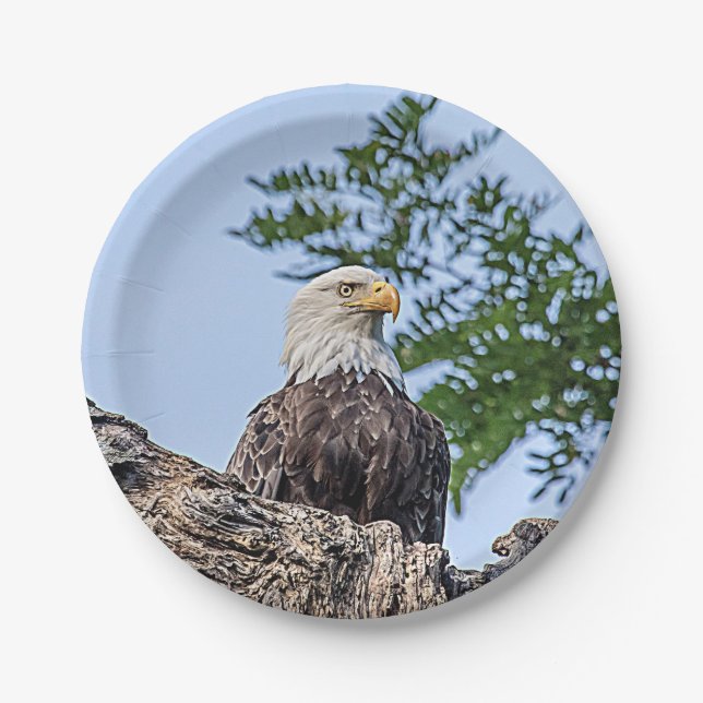 Bald Eagle Paper Plates | Wildlife & Patriotic Par (Front)