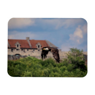 Bald Eagle passing Fort Ticonderoga Magnet