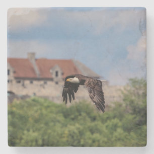 Bald Eagle passing Fort Ticonderoga Stone Coaster