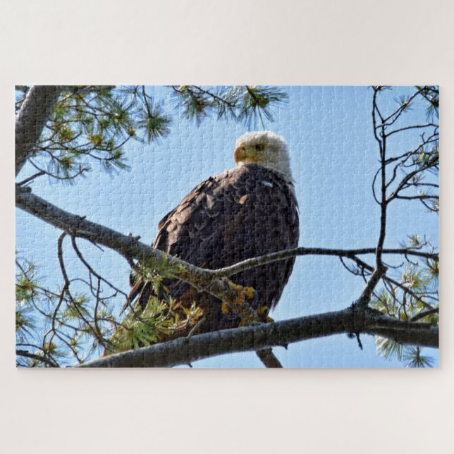 Bald Eagle Perch - 20x30 - 1014 pcs. Jigsaw Puzzle (Horizontal)