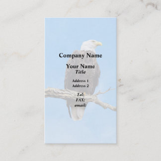 Bald Eagle Perched on a Branch Business Card