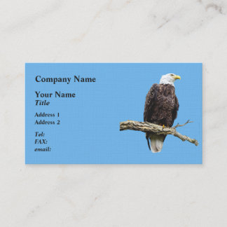 Bald Eagle Perched on a Branch Business Card