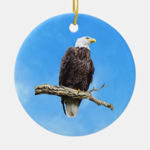 Bald Eagle Perched on a Branch Ceramic Ornament