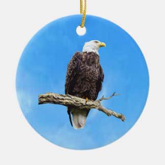 Bald Eagle Perched on a Branch Ceramic Ornament