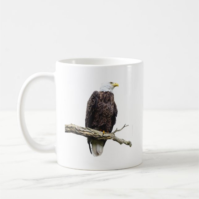 Bald Eagle Perched on a Branch Coffee Mug (Left)