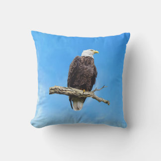 Bald Eagle Perched on a Branch Cushion