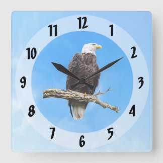 Bald Eagle Perched on a Branch Square Wall Clock