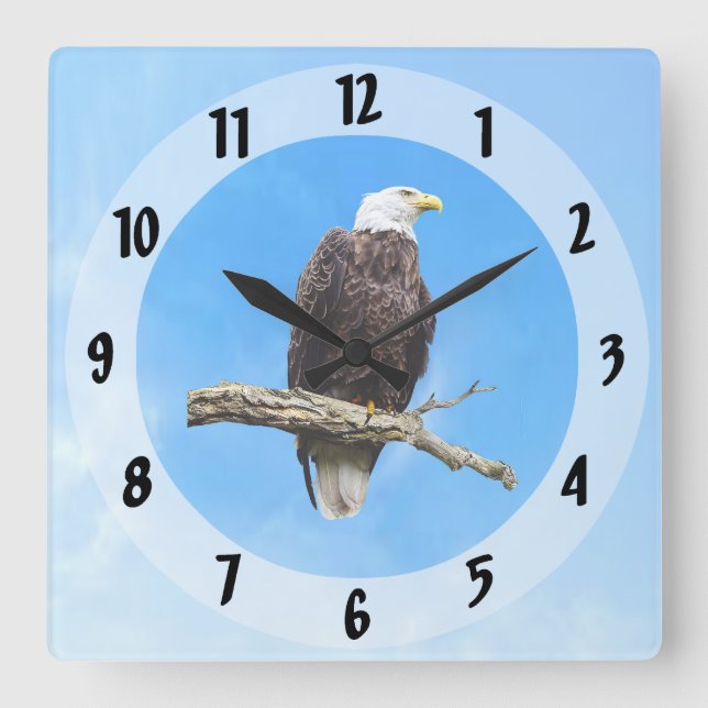 Bald Eagle Perched on a Branch Square Wall Clock (Front)
