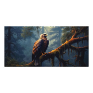 Bald Eagle Perched Photo Print