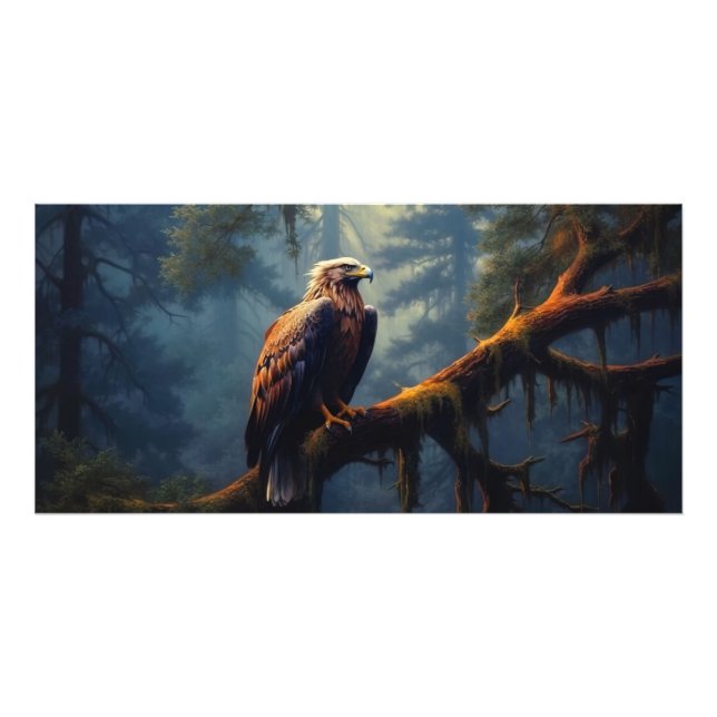 Bald Eagle Perched Photo Print (Front)