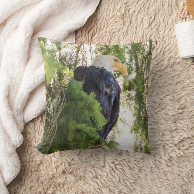 Bald Eagle perches in Douglas Fir Cushion (Blanket)