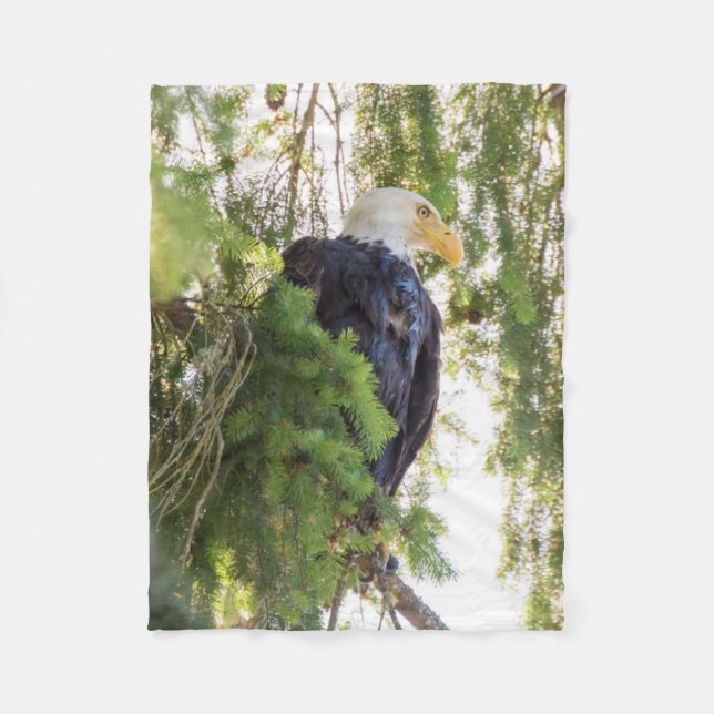 Bald Eagle perches in Douglas Fir Fleece Blanket (Front)