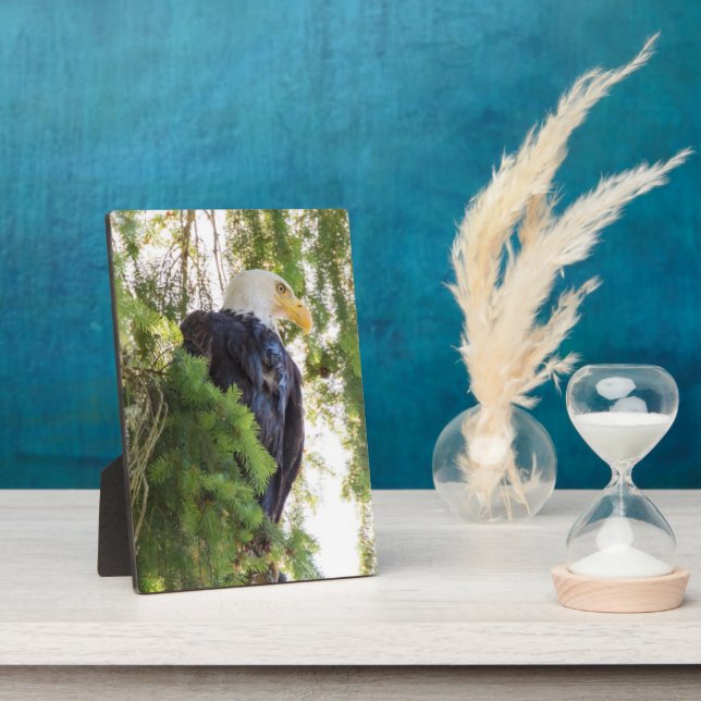 Bald Eagle perches in Douglas Fir Plaque (Side)