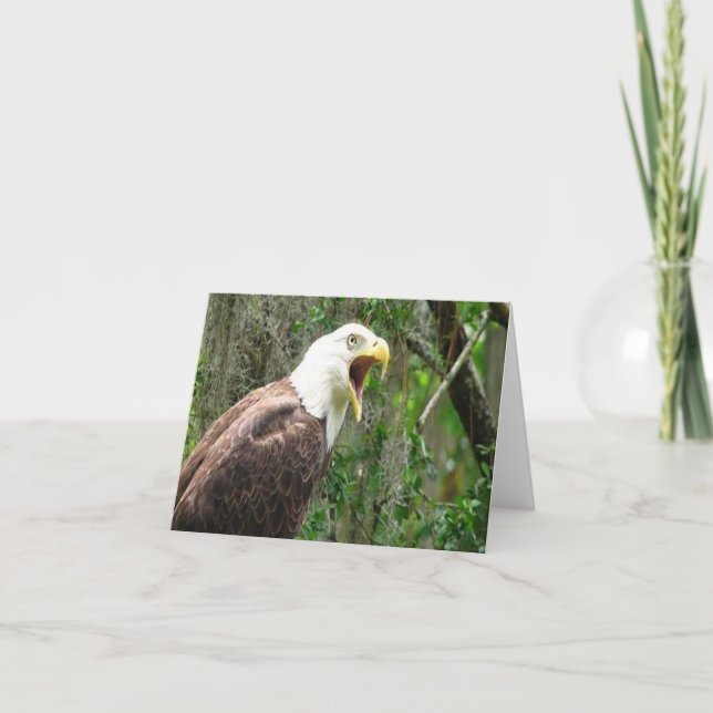 Bald Eagle Photo Folded Note Card (Front)