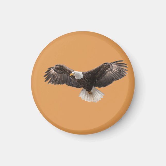  bald eagle pin , commonly sold as  magnet (Front)