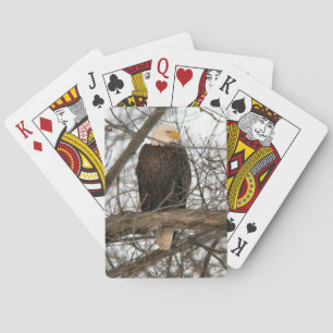 Bald Eagle Pinery Narrows Playing Cards