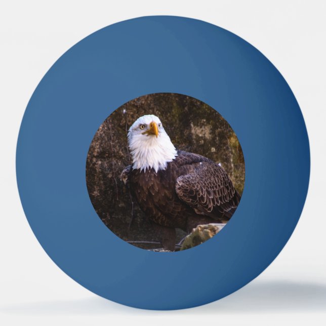 Bald Eagle Ping Pong Ball (Front)