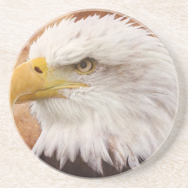 Bald Eagle Portrait Coaster (Front)