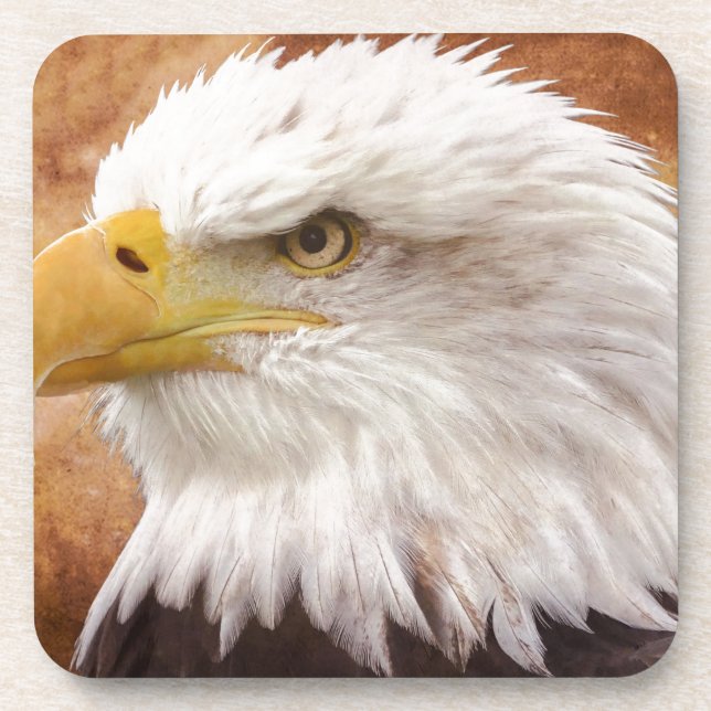 Bald Eagle Portrait Coaster (Front)