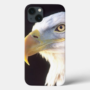 Bald Eagle Portrait, Haliaeetus leucocephalus, iPhone 13 Case