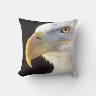 Bald Eagle Portrait, Haliaeetus leucocephalus, Cushion