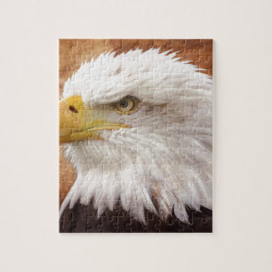 Bald Eagle Portrait Jigsaw Puzzle
