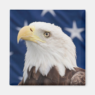 Bald Eagle Portrait with stars Magnet