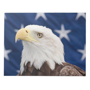 Bald Eagle Portrait with stars Notepad