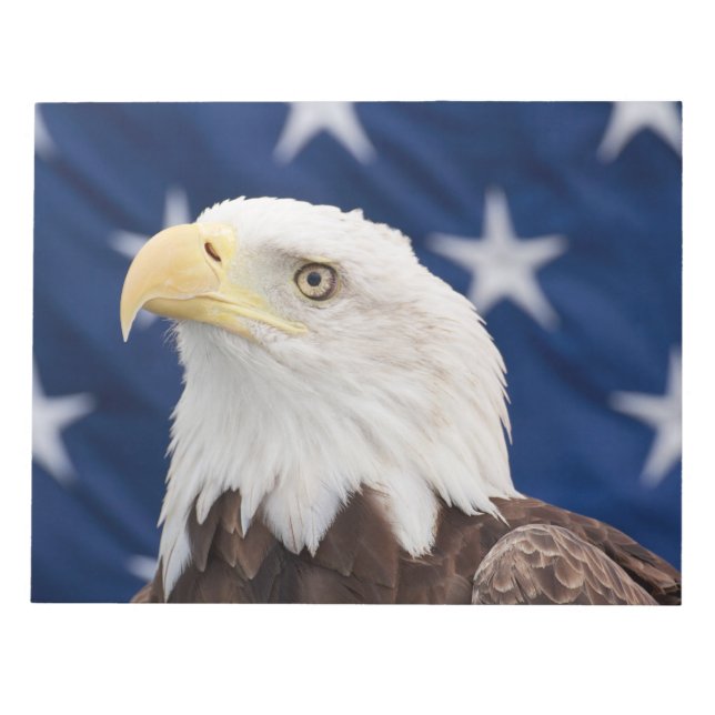 Bald Eagle Portrait with stars Notepad (Front)