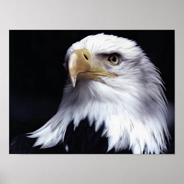 Bald Eagle Poster (Front)
