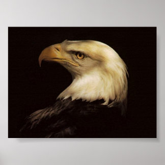 BALD EAGLE POSTER