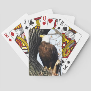 Bald Eagle, Proud And Strong Playing Cards